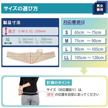 ランバックスリム 竹虎