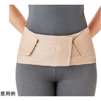 ランバックスリム 竹虎