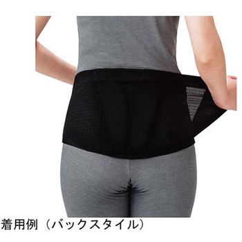 ランバックスリム 竹虎