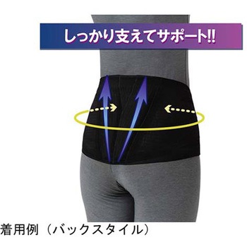 ランバックスリム 竹虎