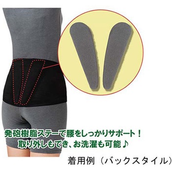 ランバックスリム 竹虎