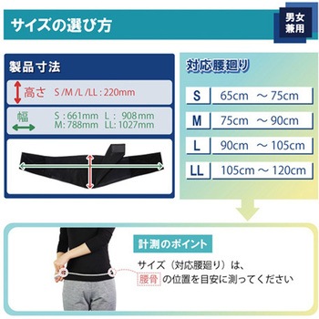 ランバックスリム 竹虎