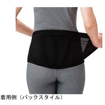 ランバックスリム 竹虎