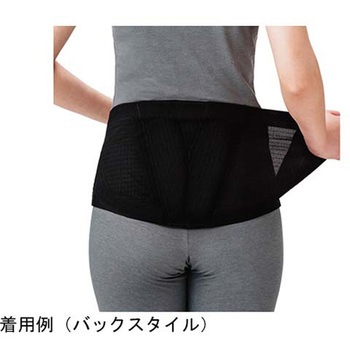 ランバックスリム 竹虎