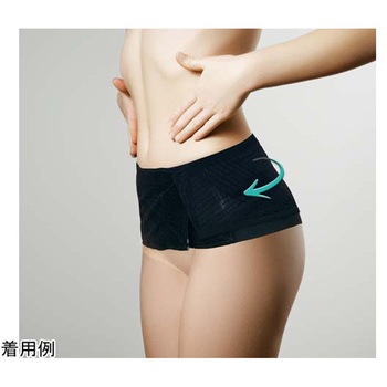 ランバックスリム 竹虎