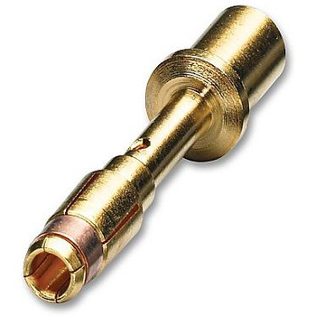 1605631 ~` R^Ng \Pbg 2MM DIA Nv tNn 53138008