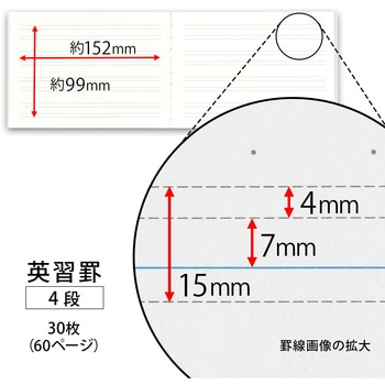 小学英語ノートハーフ4段 日本ノート