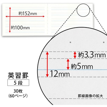 小学英語ノートハーフ5段 日本ノート