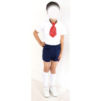 キラキラワイドネクタイ アーテック(学校教材・教育玩具)