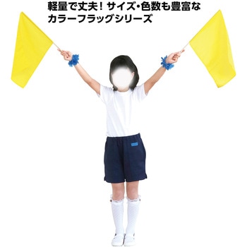 サテン小旗 アーテック(学校教材・教育玩具)