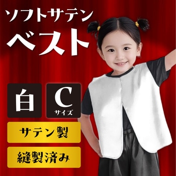 ソフトサテンベスト アーテック(学校教材・教育玩具)