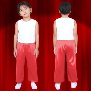 ソフトサテンズボン アーテック(学校教材・教育玩具)