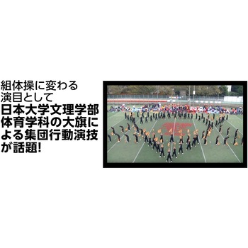 サテン大旗 直径12mm アーテック(学校教材・教育玩具)