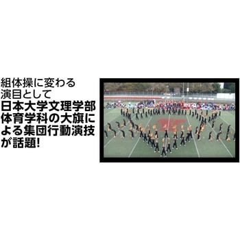 サテン大旗 直径12mm アーテック(学校教材・教育玩具)