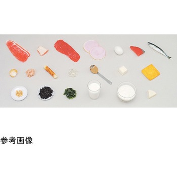 学校給食指導用・食品モデル(食材) 赤 55Rシリーズ イワイサンプル