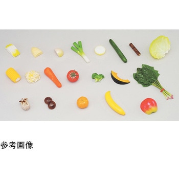 学校給食指導用・食品モデル(食材) 緑 55Gシリーズ イワイサンプル