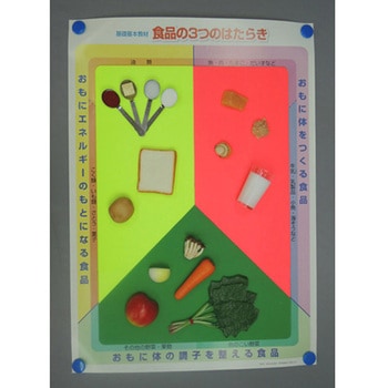 学校給食指導用展開例 56シリーズ イワイサンプル