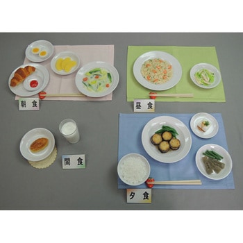 腎炎食献立 63シリーズ イワイサンプル