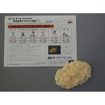 脂肪100gキーホルダーボールチェーン SIKC-001 イワイサンプル