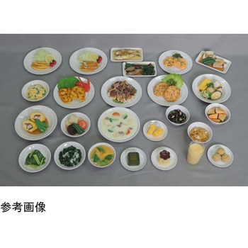 骨粗鬆症食 指導用献立モデル 72シリーズ イワイサンプル
