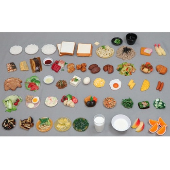 食品交換表に基づいた調理交換モデル SKMシリーズ(1～50) イワイサンプル