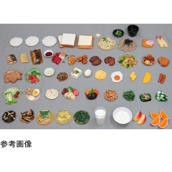 食品交換表に基づいた調理交換モデル SKMシリーズ(1～50) イワイサンプル
