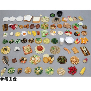 食品交換表に基づいた調理交換モデル SKMシリーズ(51～75) イワイサンプル