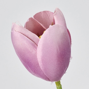 ツインチューリップ 東京堂