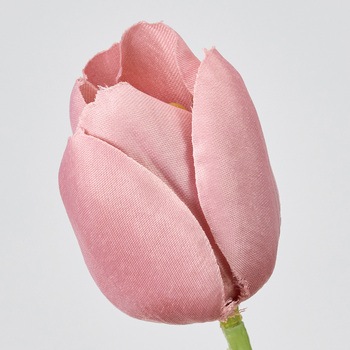 ツインチューリップ 東京堂