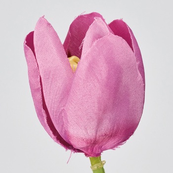 ツインチューリップ 東京堂