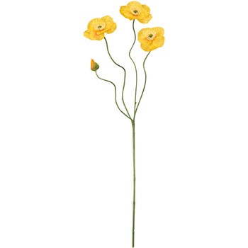 FM008326-004 Gi|s[  53172500