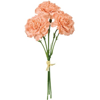 FM002568-006 ���C�J�[�l�[�V�����s�b�N ������ 53172929