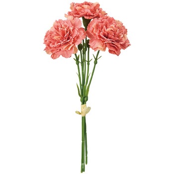 FM002568-028 ���C�J�[�l�[�V�����s�b�N ������ 53172947