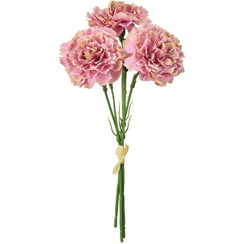 ルイカーネーションピック 東京堂