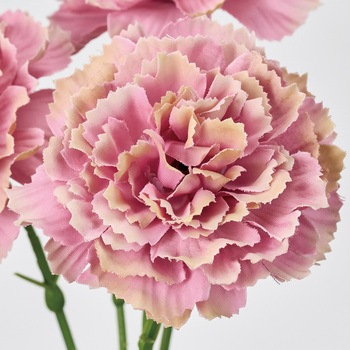 ルイカーネーションピック 東京堂