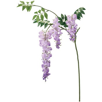 FM000522017 涼の藤枝 1本 東京堂 【通販モノタロウ】