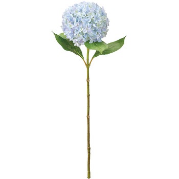 FM000540-005 �{�k�[���n�C�h�����W�A ������ 53178215