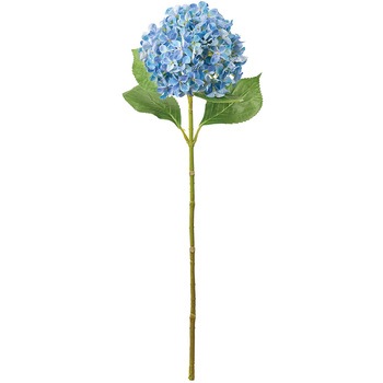 FM000540-010 �{�k�[���n�C�h�����W�A ������ 53178224