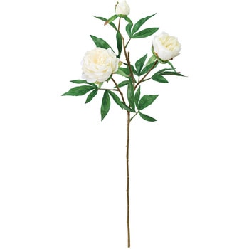 FM003604-001 Ag[vsIj[  53178784