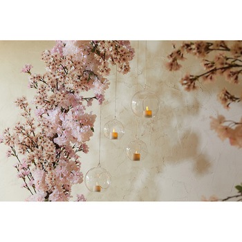 薄紅の桜 満開大 東京堂