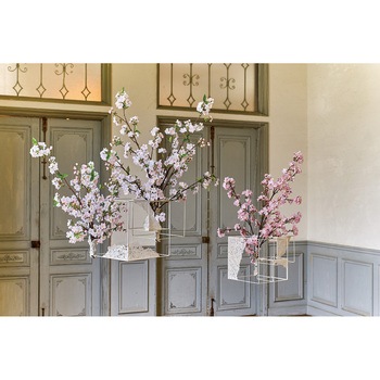 薄紅の桜 満開大 東京堂