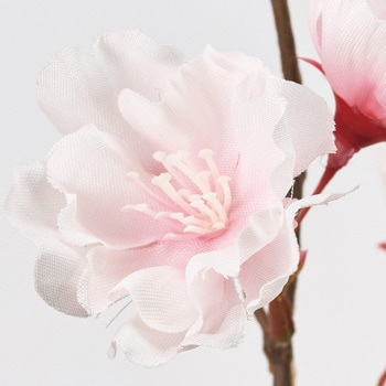 FM302301 八重桜小枝 1本 東京堂 【通販モノタロウ】 FM302301 八重桜小枝 1本 東京堂 【通販モノタロウ】