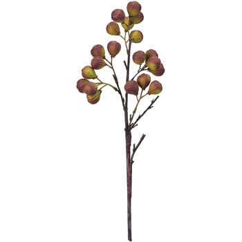 FM005920-042 �t�B�O�X�v���[ ������ ������ �x���[(���ʎ�) 53180735