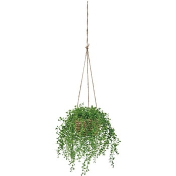 ベビーティアーズハンギング 東京堂