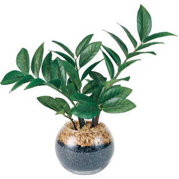 ザミオクルカスラウンドグラス - 東京堂