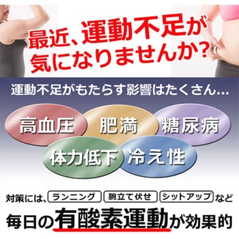 フィットネスステッパー 静音 足踏み エクササイズ 昇降運動 計測メータ付 SunRuck