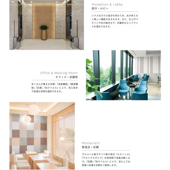 SHIRASU PALETTE (シラスパレット) ナギ 高千穂シラス