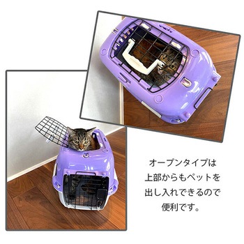 ファンタジーキャリー ファンタジーワールド