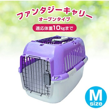 ファンタジーキャリー ファンタジーワールド