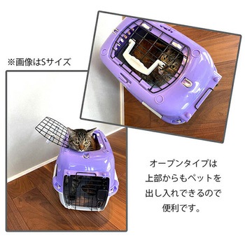 ファンタジーキャリー ファンタジーワールド